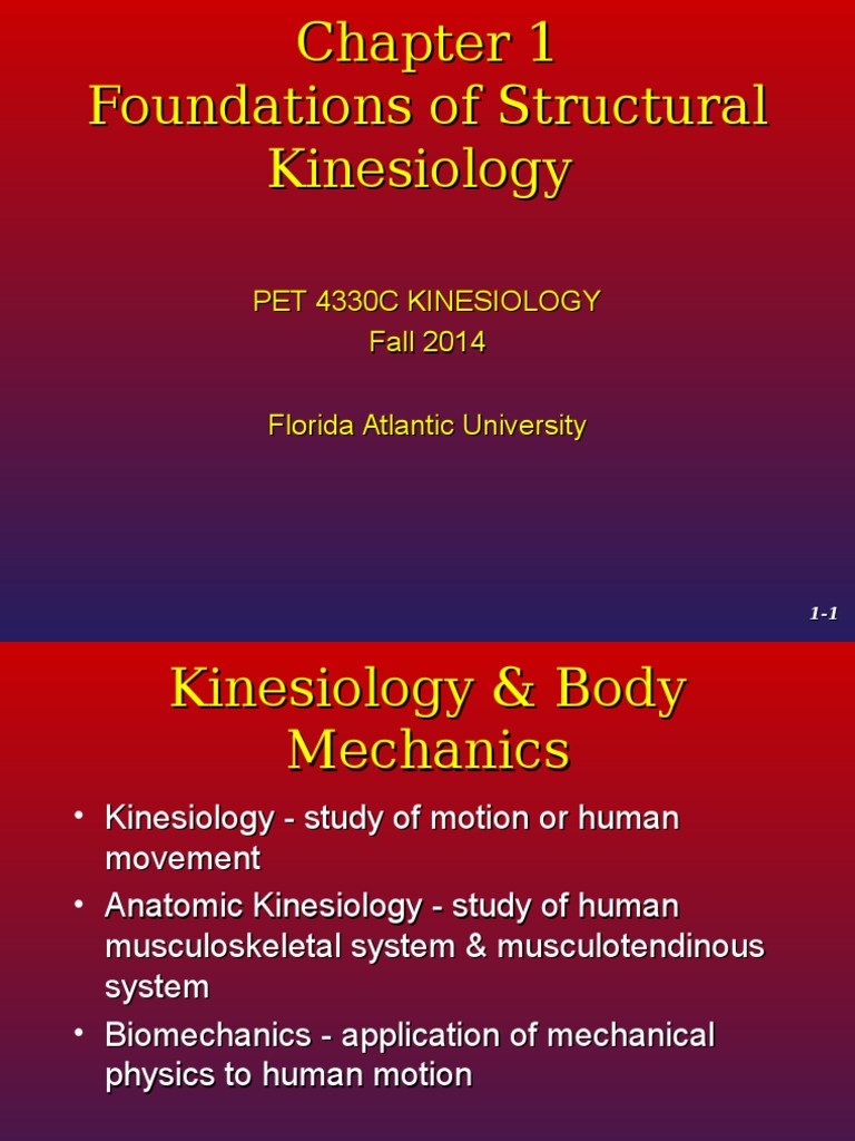 Kinesiology Chapter 1 Anatomical Terms Of Motion Anatomical Terms