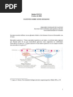 Patentes Sobre Genes Humanos. EMILSSEN GONZÁLEZ DE CANCINO