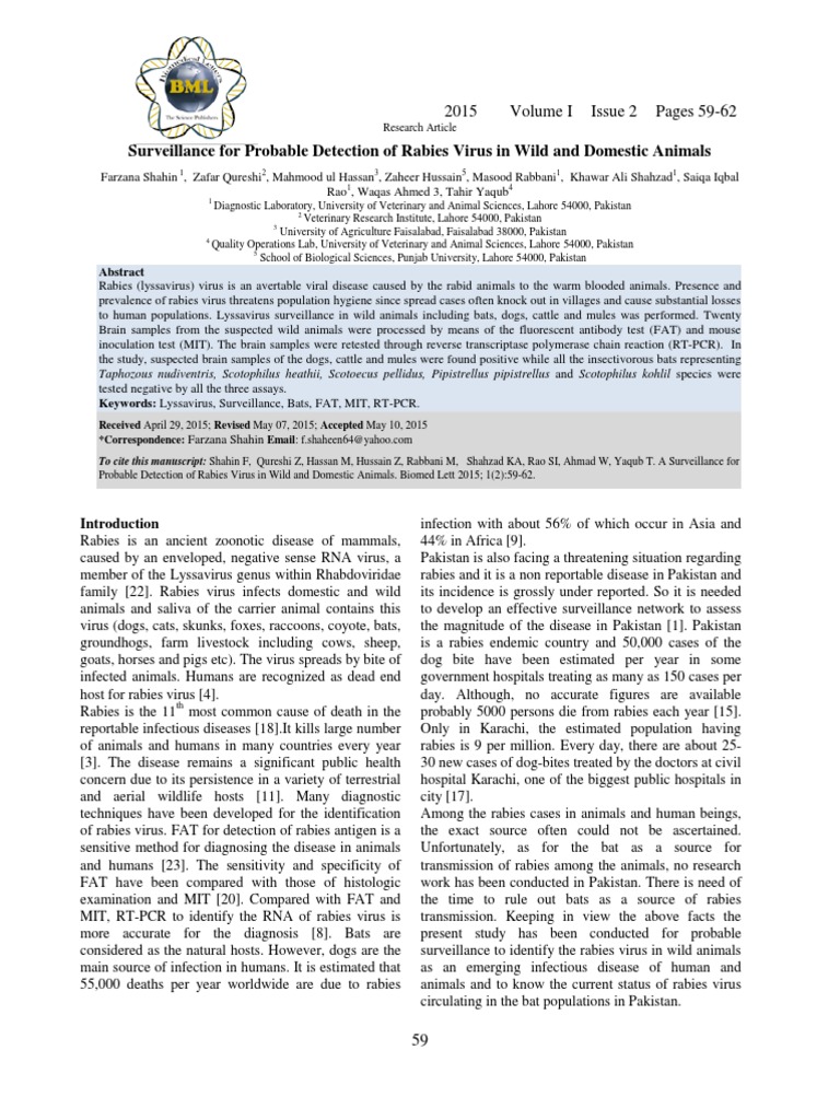 Surveillance For Probable Detection of Rabies Virus in Wild and ...