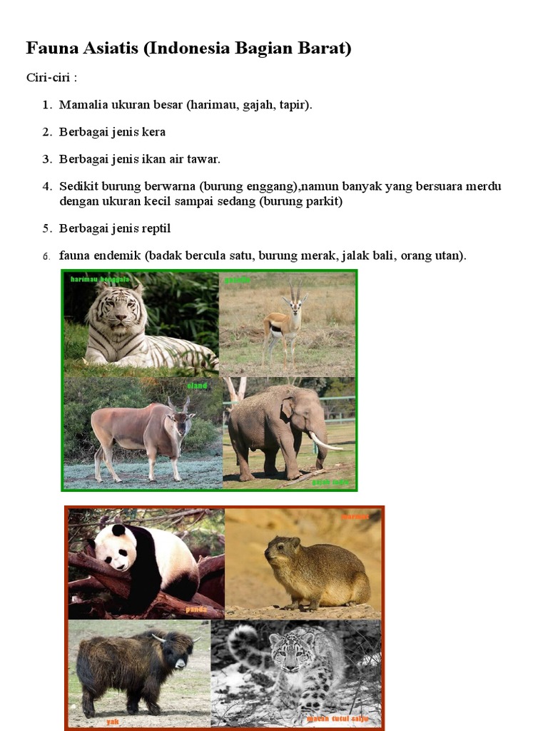 Unduh 4200 Gambar Fauna Asiatis Paling Baru Gratis