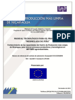 121130 Manual tecnológico Mermelada de Pina...SI.pdf
