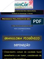 04 - Processos Proliferativos não Neoplásicos.pdf
