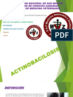 Actinobacilosis
