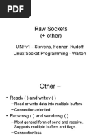 CS423 Raw Sockets BW