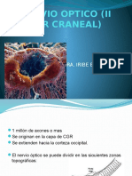 Nervio Optico (II Par Craneal)