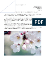 桜の花エキス　オリザ油化