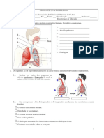6-Ano-Sistema-Respiratorio.pdf