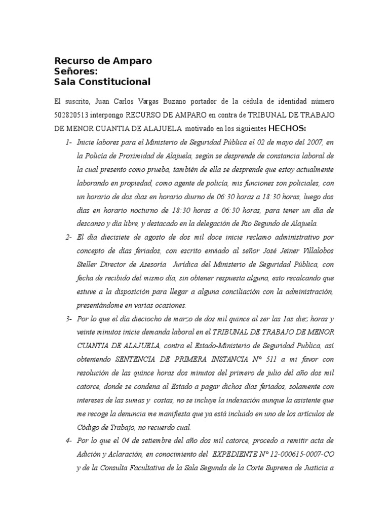 Recurso de Amparo en Alajuela | PDF | Caso de ley | Instituciones sociales
