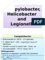 17 207 Campylobacter, Helicobacter