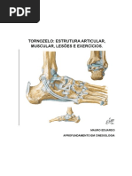 ocomplexoarticulardotornozelo-121117112620-phpapp01.docx