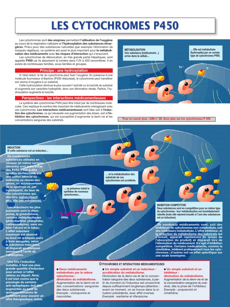 Interactions des cytochromes P450 | PDF | Inhibiteur enzymatique ...