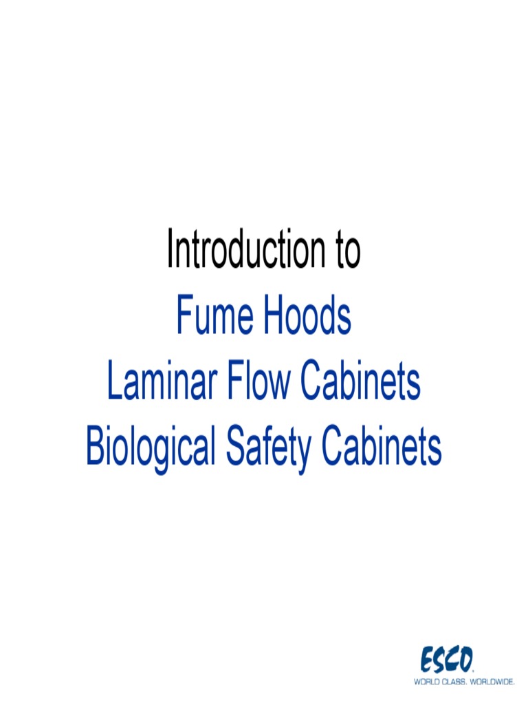 Introduction To Fume Hood Laminar Flow And Biological Safety