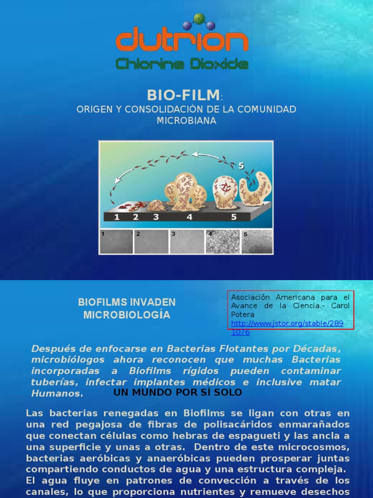 Biofilm Chlorine Dioxide PDF Biopelícula Las bacterias