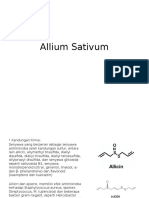 Allium Sativum