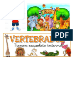 Los 5 grupos de vertebrados: Mamíferos, Aves, Peces, Anfibios y Reptiles