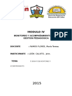 Ensayo de Monitoreo y Acompañamiento