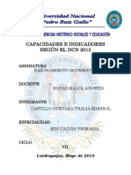 Capacidades e Indicadores Según El Dcn 2015