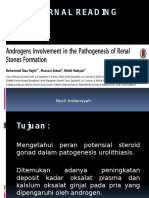 Pengaruh Androgen Pada Patogenesis Pembentukan Batu Ginjal