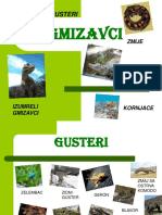 Gmizavci