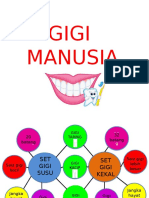 GIGI  MANUSIA.pptx