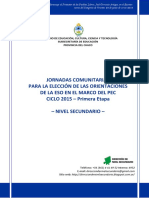 1° DOCUMENTO ELECCIÓN DE ORIENTACIONES 2015