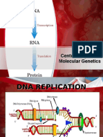 Central Dogma of Molecular Genetics