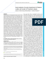 Time-resolved Functional Analysis of Acute Impairment of Frataxin Expression in an Inducible Cell Model of Friedreich Ataxia.