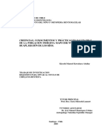 Creencias, Conocimientos y Prácticas en Salud Oral de La Población Indígena Mapuche