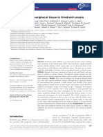 Frataxin Levels in Peripheral Tissue in Friedreich Ataxia.