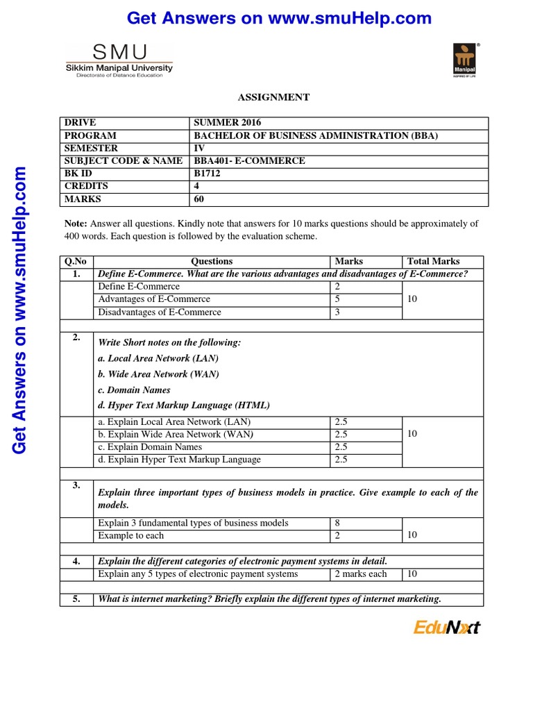 BBA E-Commerce Assignment Guide | PDF
