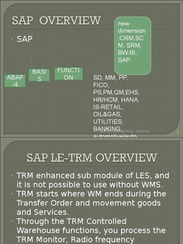 Sap Le-Trm | PDF