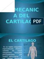 BIOMECANICA DEL CARTILAGO.pptx