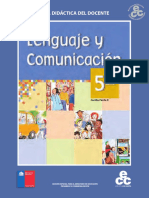 Lenguaje y Comunicación - 5° Básico (GDD)