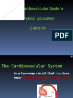 The Cardiovascular System Physical Education Grade 9n