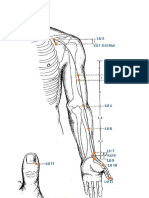 (LU) Meridiano Del Pulmón - Funciones de Punto de Gráfico PDF