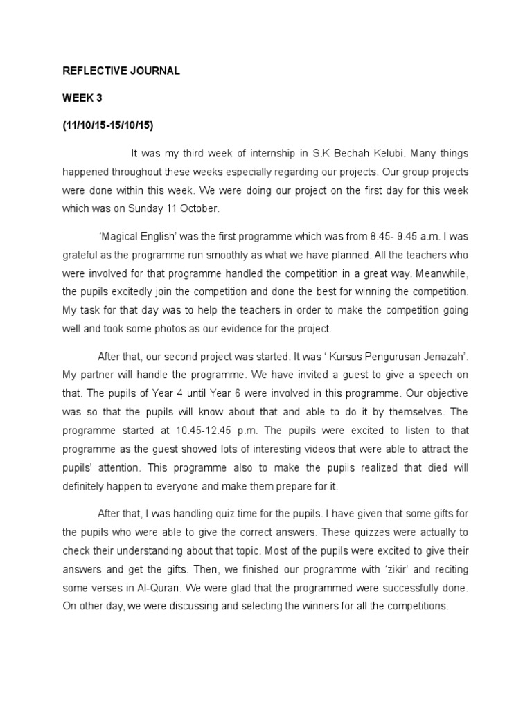 Week 3 Internship Reflection | PDF | Career & Growth