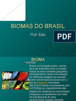 Biologia PPT - Botânica - Biomas do Brasil e Cerrado