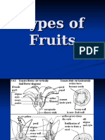 Types of Fruits