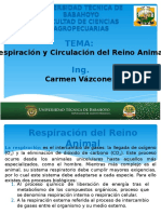 Respiración y Circulación Animal