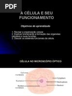 Download Biologia PPT - Clula e seu Funcionamento by Biologia ppt SN3204600 doc pdf