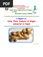 Ginger VCA Report Final - 1321858136