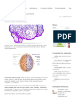 Los Hemisferios Del Cerebro 