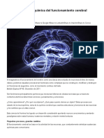 Neuroquímica