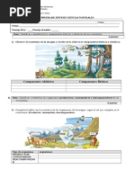 Prueba Sintesis 4 Básico