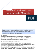 Sistem Koordinasi Dan Indera Pada Manusia