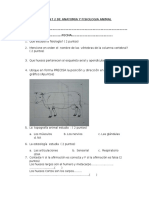 Examen de Anatomia y Fisiologia Animal II