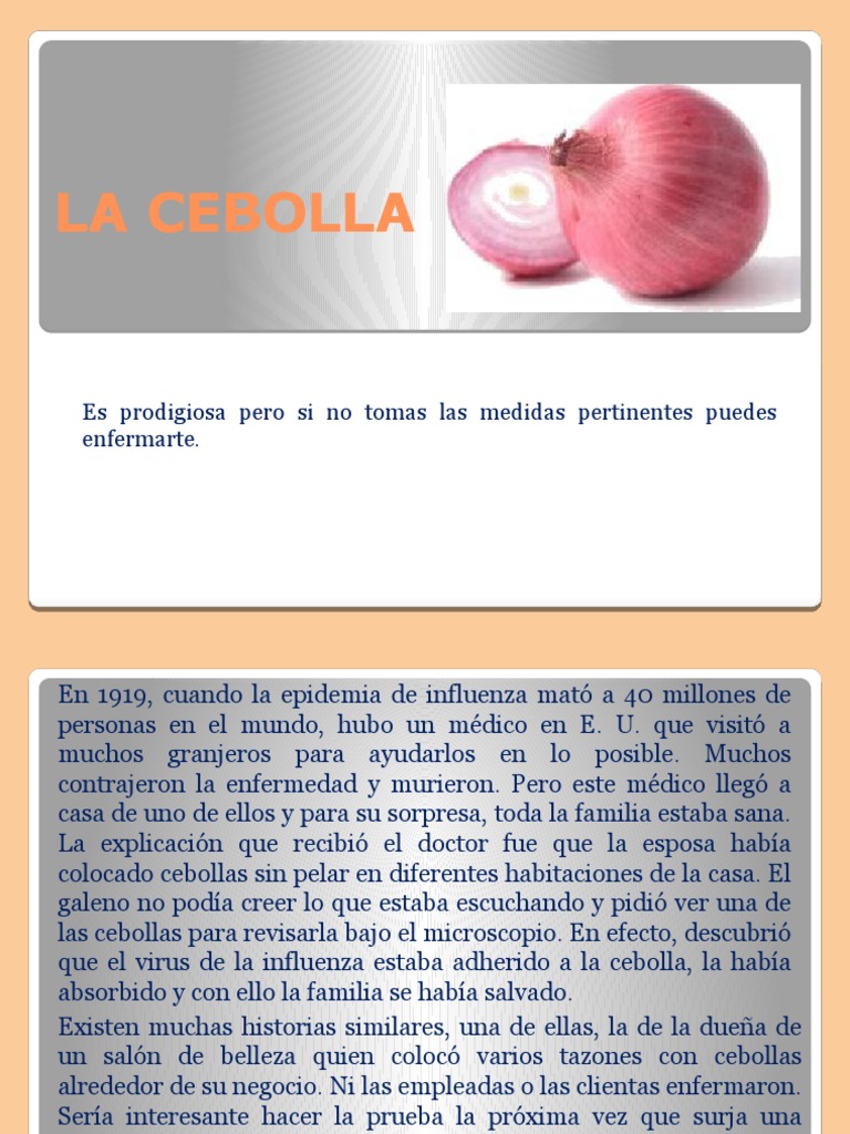 Cebolla Y Sus Propiedades Comparadas Con Las Del Tomate – JWTOVD