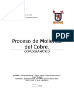 copro-avance-2-listo.docx