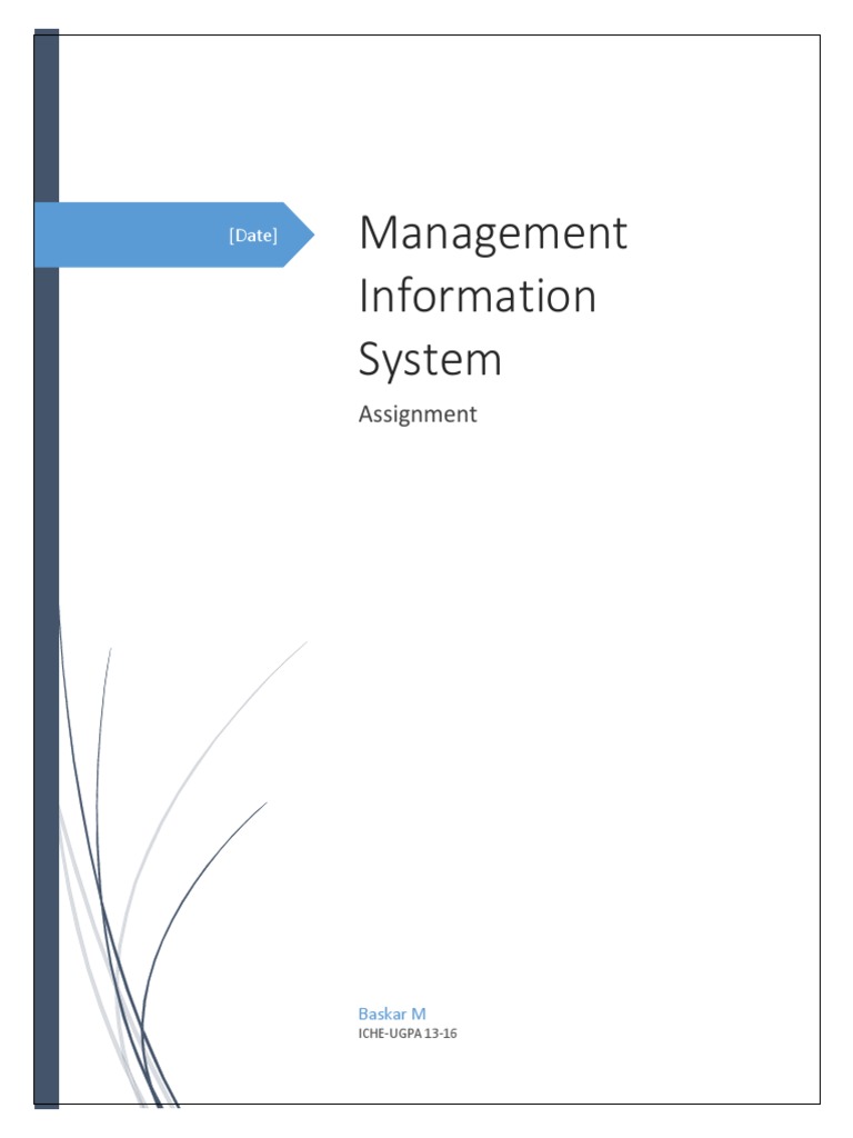 MIS Assignment for UG Students | PDF | Information Technology ...
