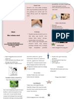 Leaflet Dermatitis